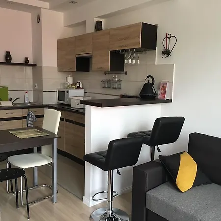 Апартаменты Apartament W Gizycku